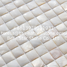 China Handmade Beautiful Sea shell Mosaic Freshwater Shell Mosaic with Convex Surface 20x20mm supplier