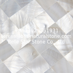 China Handmade Beautiful Sea shell Wall Panel Freshwater Shell Decorating Panel Pieces 20x20mm supplier