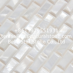China Convex High Block Surface Sea shell Wall Panel Freshwater Shell Decorating Panel 10x20mm supplier