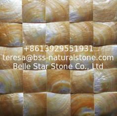 China Convex Surface Sea shell Wall Mosaic Panel Yellow Butterfly Shell Decorating Panel 60x60mm supplier