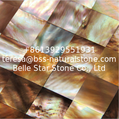 China Natural Sea shell Wall Covering Penguin Shell Decorating Wall Panel Square Pieces 20x20mm supplier