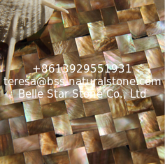 China Natural Sea shell Wall Covering Penguin Shell Decorating Wall Panel Square Pieces 10x20mm supplier