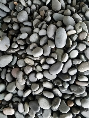 China Water Washed Black Pebble Stones,Black Cobble Stones,Black River Stones,Cobble River Pebbles,Landscaping Pebbles supplier
