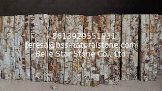 China Autumn Leaves Sandstone Culture Stone,Forest Brown Stone Cladding,China Sandstone Stacked Stone,Real Stone Veneer Panels supplier