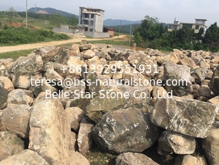 China Natural Garden Boulders,Multicolor Granite Rocks,Landscaping Stone,Garden Decor Stones,Yard Stone,Palisade supplier