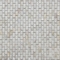 Handmade Beautiful Sea shell Wall Mosaic Freshwater Sea Shell Mosaic Pattern 10x20mm supplier