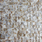 Handmade Beautiful Sea shell Wall Mosaic Panel Freshwater Shell Decorating Panel 17x17mm supplier