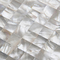 Handmade Beautiful Sea shell Wall Panel White Butterfly Shell Decorating Panel 15x15mm supplier