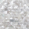 Handmade Beautiful Sea shell Wall Panel White Butterfly Shell Decorating Panel 10x20mm supplier