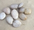 Polished White Pebble Stones,White Cobble Stones,White River Stones,Cobble River Pebbles,Landscaping Pebbles supplier