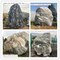 Natural Stone Boulders with Words,Landscaping Stone Boulders,Garden Decor Stone Boulders,Granite Rocks,Yard Stone supplier